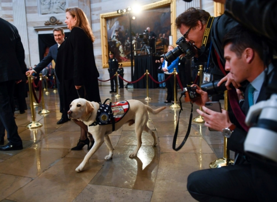 Cảm động chú chó trung thành bên linh cữu cố Tổng thống Bush cam dong chu cho trung thanh ben linh cuu co tong thong bush