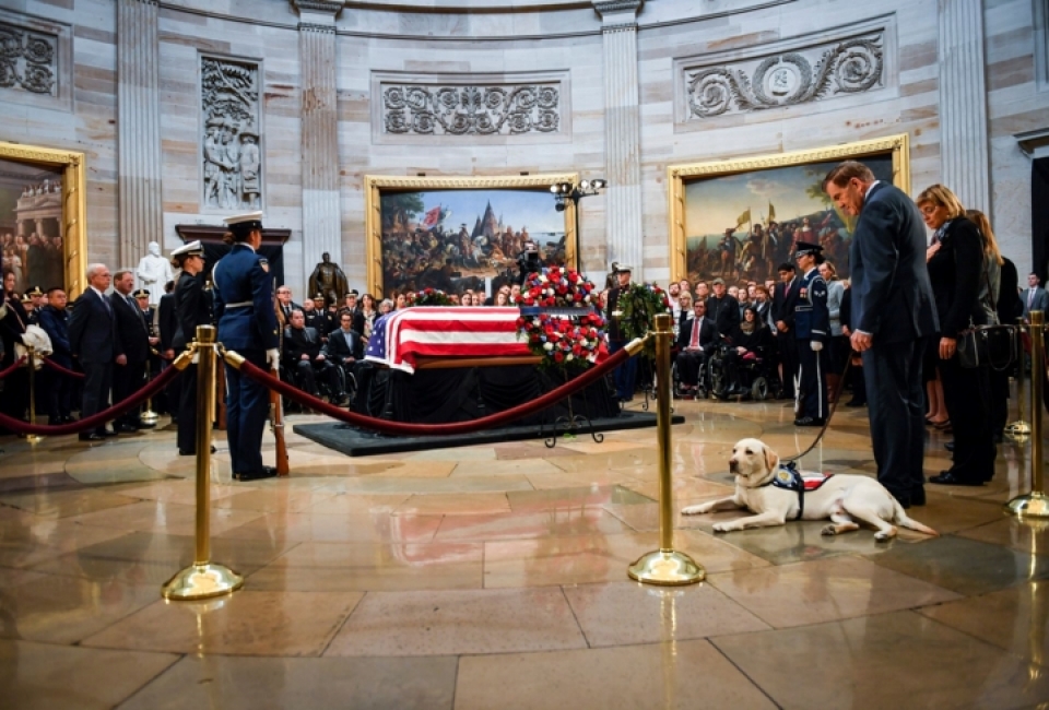 Cảm động chú chó trung thành bên linh cữu cố Tổng thống Bush cam dong chu cho trung thanh ben linh cuu co tong thong bush