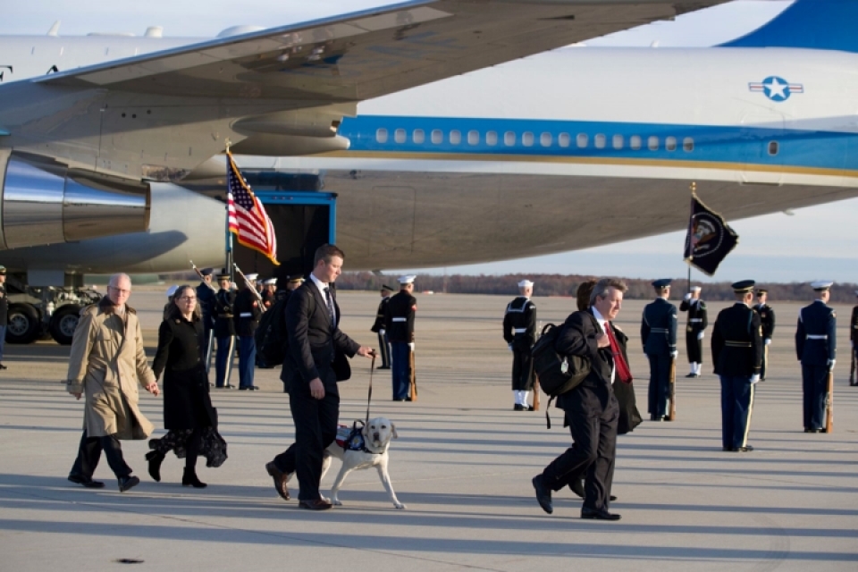 Cảm động chú chó trung thành bên linh cữu cố Tổng thống Bush cam dong chu cho trung thanh ben linh cuu co tong thong bush