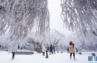 Trung Quốc: Bắc Kinh trải qua tiết Đại Tuyết rét nhất 70 năm