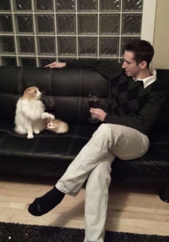 Các tư thế “độc nhất vô nhị” của những chú mèo cac tu the doc nhat vo nhi cua nhung chu meo