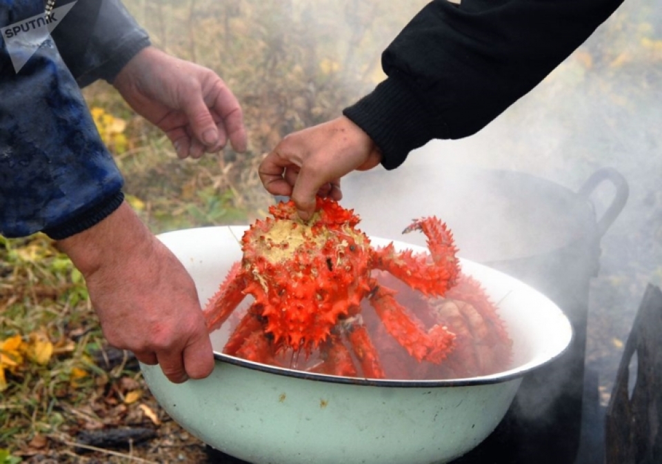 Cuộc sống trên quần đảo Nam Kuril tranh chấp giữa Nga và Nhật Bản cuoc song tren quan dao nam kuril tranh chap giua nga va nhat ban