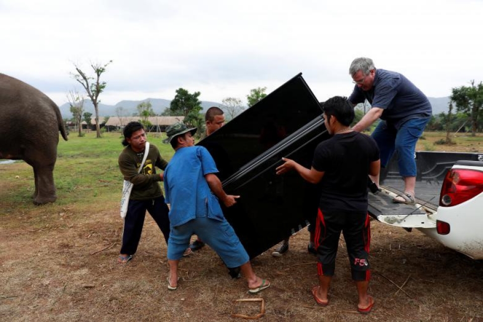 thai lan xoa diu tam hon nhung con voi dau kho bang nhac co dien