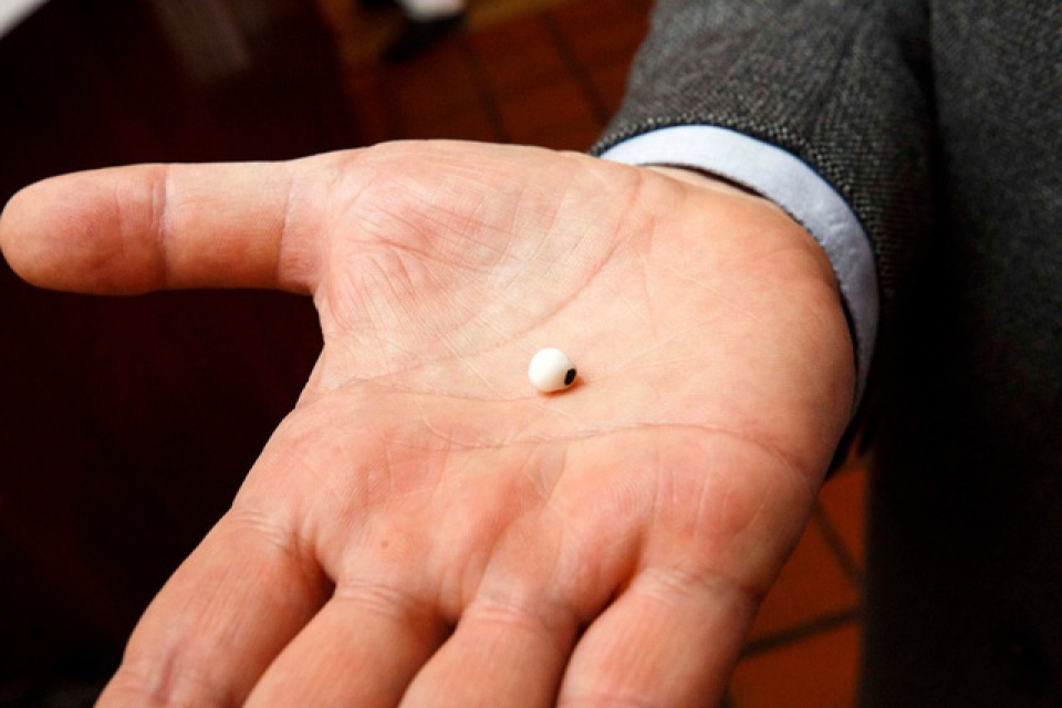 my di an hau can phai ngoc trai