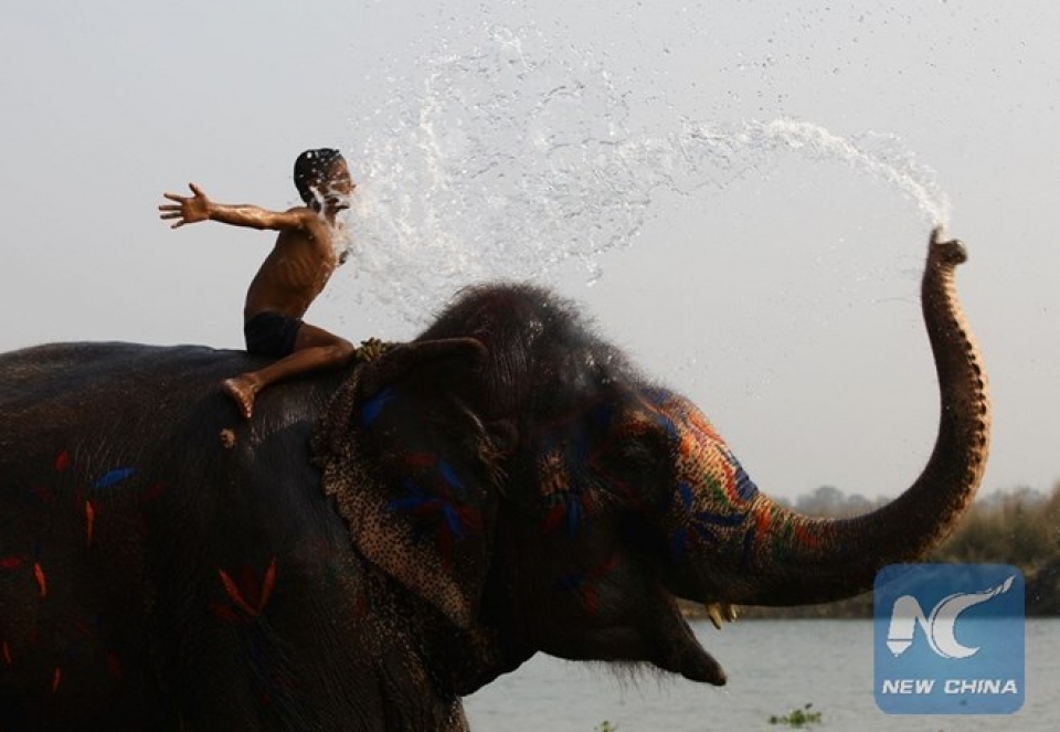 nepal soi dong le hoi voi o cong vien quoc gia