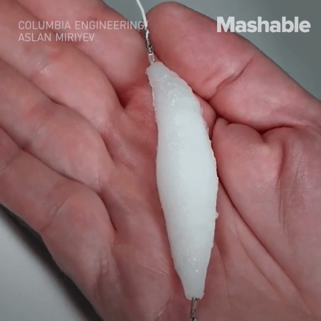 co nhan tao nang duoc vat nang gap 1000 lan mo ra tuong lai cho robot giong het con nguoi