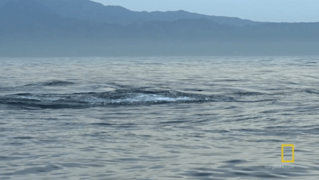 nghet tho cuoc ruot duoi toc do giua ca map va hai cau