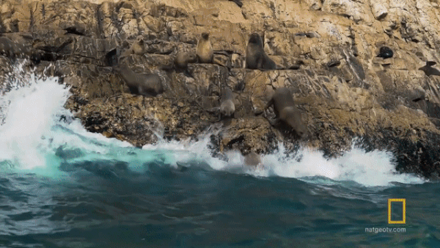 nghet tho cuoc ruot duoi toc do giua ca map va hai cau