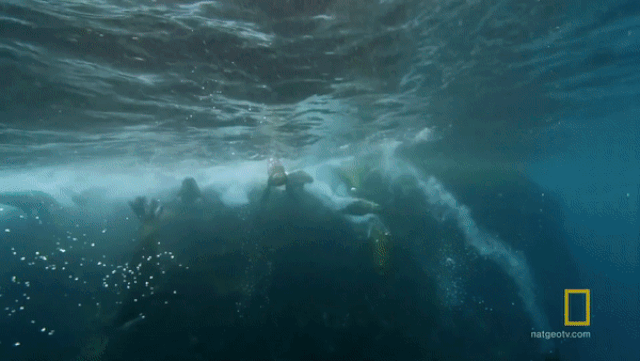 nghet tho cuoc ruot duoi toc do giua ca map va hai cau