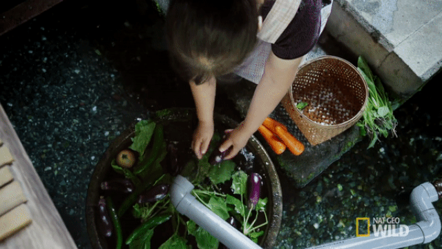 giai ma he thong loc nuoc bang ca chep cua nguoi nhat khien the gioi than phuc