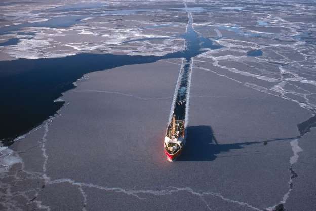 nhung su that thu vi co the ban chua biet ve bac cuc