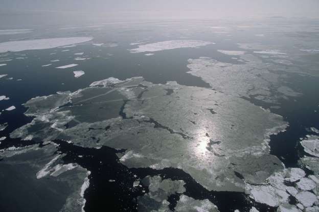 nhung su that thu vi co the ban chua biet ve bac cuc