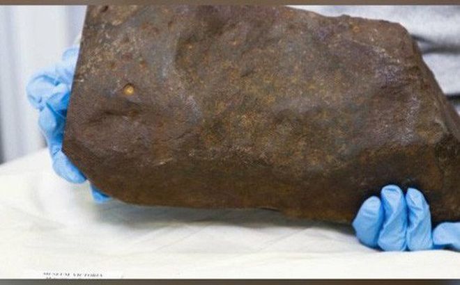 australia nguoi dan ong bat ngo tim thay thien thach cuc hiem trong cong vien