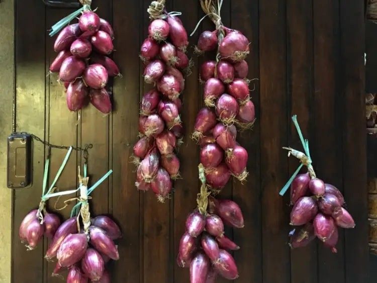 nhung truyen thong don nam moi doc dao tren khap the gioi