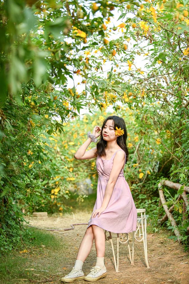 Hoa dã quỳ đẹp ngất ngây ngay giữa lòng Hà Nội Hoa dã quỳ đẹp ngất ngây ngay giữa lòng Hà Nội