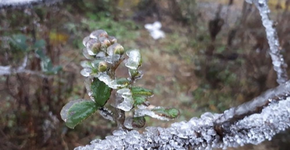 Dự báo thời tiết đêm nay và ngày mai (8-9/12): Bắc Bộ đêm mưa vài nơi, sáng sớm sương mù, trời rét và nắng; Nam Bộ ngày nắng Dự báo thời tiết đêm nay và ngày mai (8-9/12): Bắc Bộ đêm mưa vài nơi, sáng sớm sương mù, trời rét và nắng; Nam Bộ ngày nắng