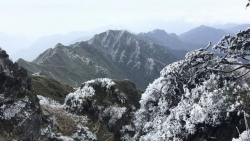 Dự báo thời tiết 3 ngày tới (14-16/12): Từ ngày mai, Bắc Bộ, Bắc Trung Bộ trời rét đậm, vùng núi rét hại, vùng núi cao khả năng có băng giá