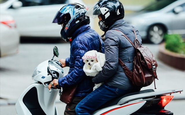 Dự báo thời tiết đêm nay và ngày mai (29-30/12): Không khí lạnh rất mạnh; Bắc Bộ, Bắc Trung Bộ rét đậm rét hại; Trung Bộ mưa to; Hà Nội nền nhiệt thấp Dự báo thời tiết đêm nay và ngày mai (29-30/12): Không khí lạnh rất mạnh; Bắc Bộ, Bắc Trung Bộ rét đậm rét hại; Trung Bộ mưa to; Hà Nội nền nhiệt thấp