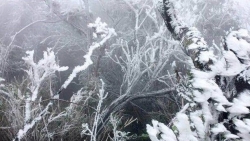 Dự báo thời tiết 3 ngày tới (31/12/2020 - 2/1/2021): Bắc Bộ rét đậm rét hại; Trung và Nam Trung Bộ mưa vừa mưa to; Nam Bộ chuyển lạnh vào đêm và sáng