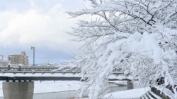 Nhật Bản: Cảnh sắc một số nơi như cổ tích khi tuyết rơi dày gấp 30 lần bình thường