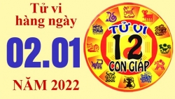 Tử vi hôm nay, xem tử vi 12 con giáp ngày 2/1/2022: Tuổi Dậu kinh doanh gặp may