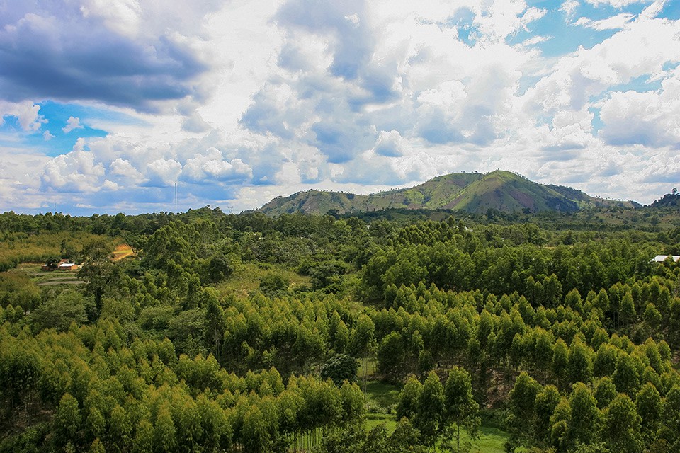 Buôn Ma Thuột, cao nguyên đầy nắng, lộng gió