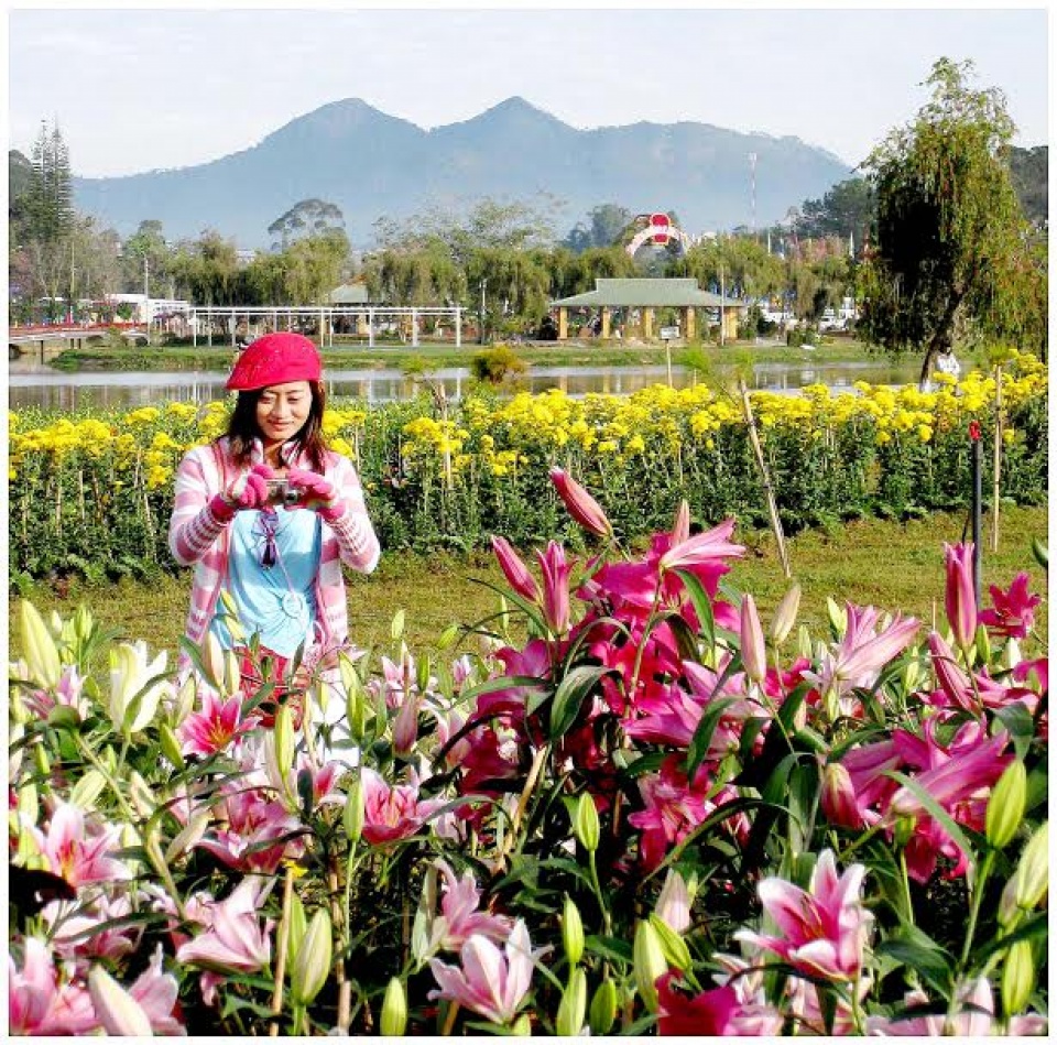 ruc ro sac xuan da lat