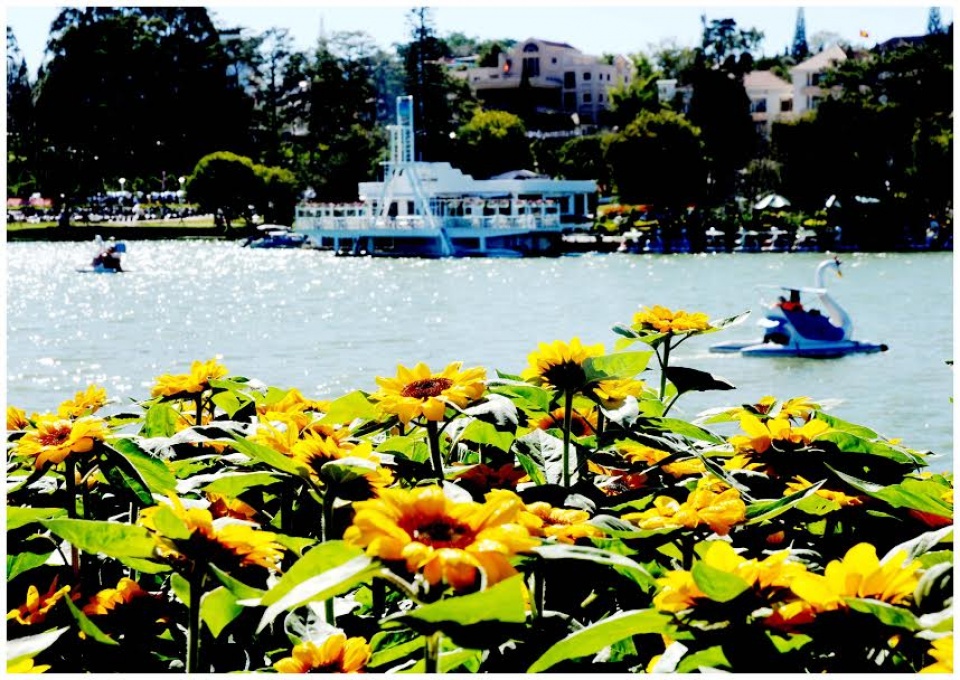 ruc ro sac xuan da lat