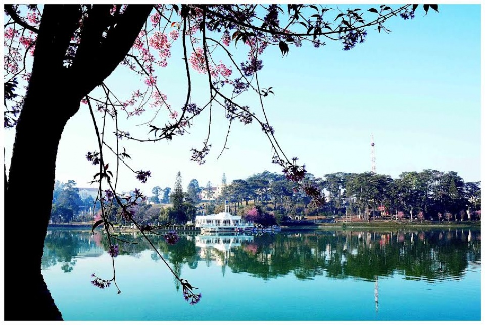 ruc ro sac xuan da lat