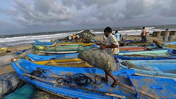 Thủy sản Ấn Độ. (Nguồn: PTI)