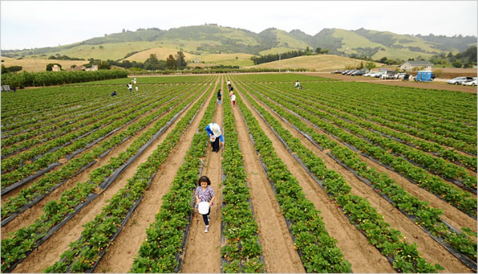 noi lo cua nhung nguoi lam nong nghiep o my