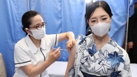 Dự luật cấp phép khẩn cấp vaccine của Nhật Bản: Có thể bỏ qua bước thử nghiệm lâm sàng