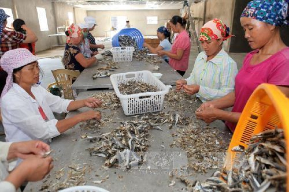 ADB hỗ trợ hoạt động thương mại cho SMEs Việt Nam adb ho tro hoat dong thuong mai cho smes viet nam