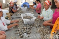 them 2 ngan hang viet tham gia tai tro thuong mai