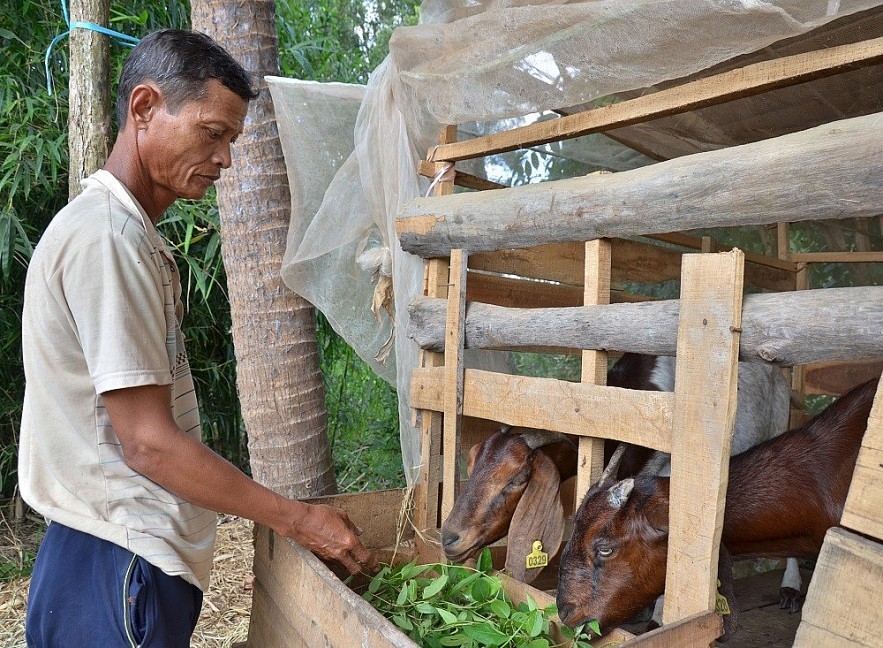 Báo chí Campuchia thông tin đậm nét về những đổi thay trong đời sống của đồng bào Khmer ở Việt Nam Báo chí Campuchia thông tin đậm nét về những đổi thay trong đời sống của đồng bào Khmer ở Việt Nam