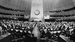 44 năm Việt Nam gia nhập Liên hợp quốc: Hành trình ghi dấu ấn
