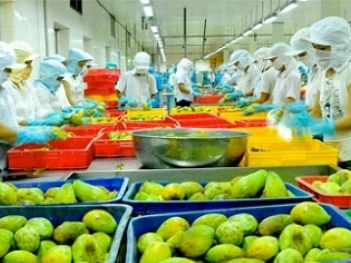 rau qua dang tro thanh diem sang trong xuat khau nong san