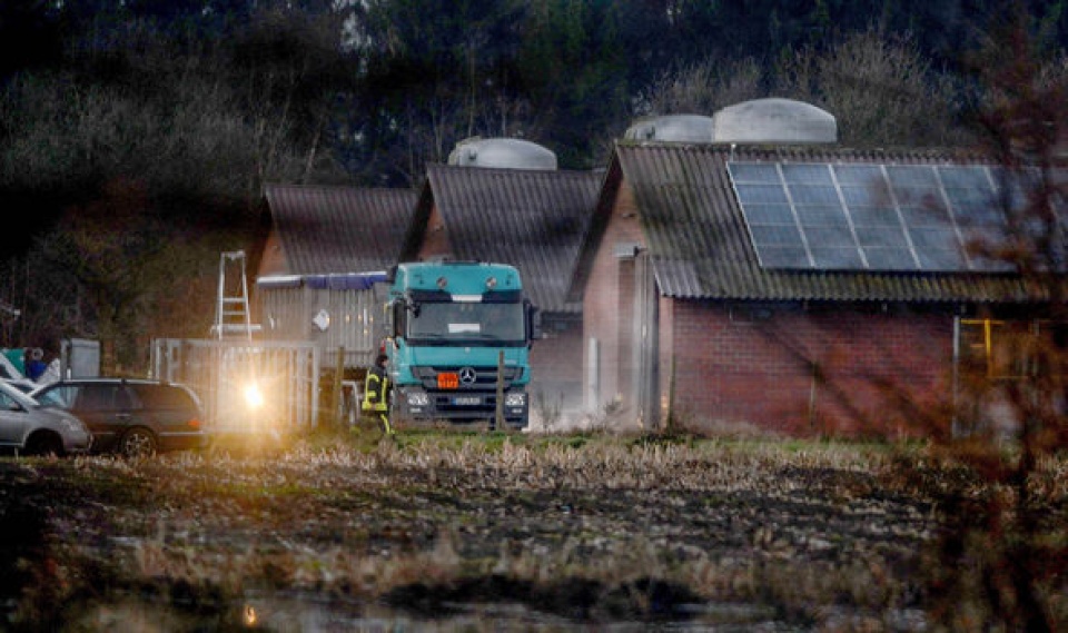 duc va thuy si ghi nhan su bung phat moi virus h5n8