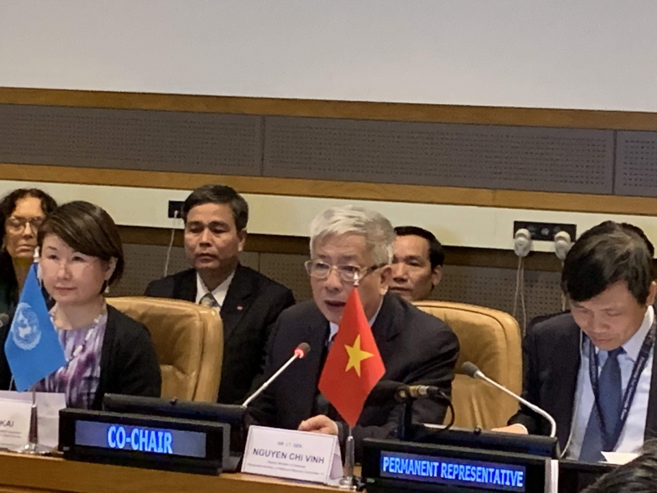 viet nam no luc vi hoa binh va phat trien ben vung