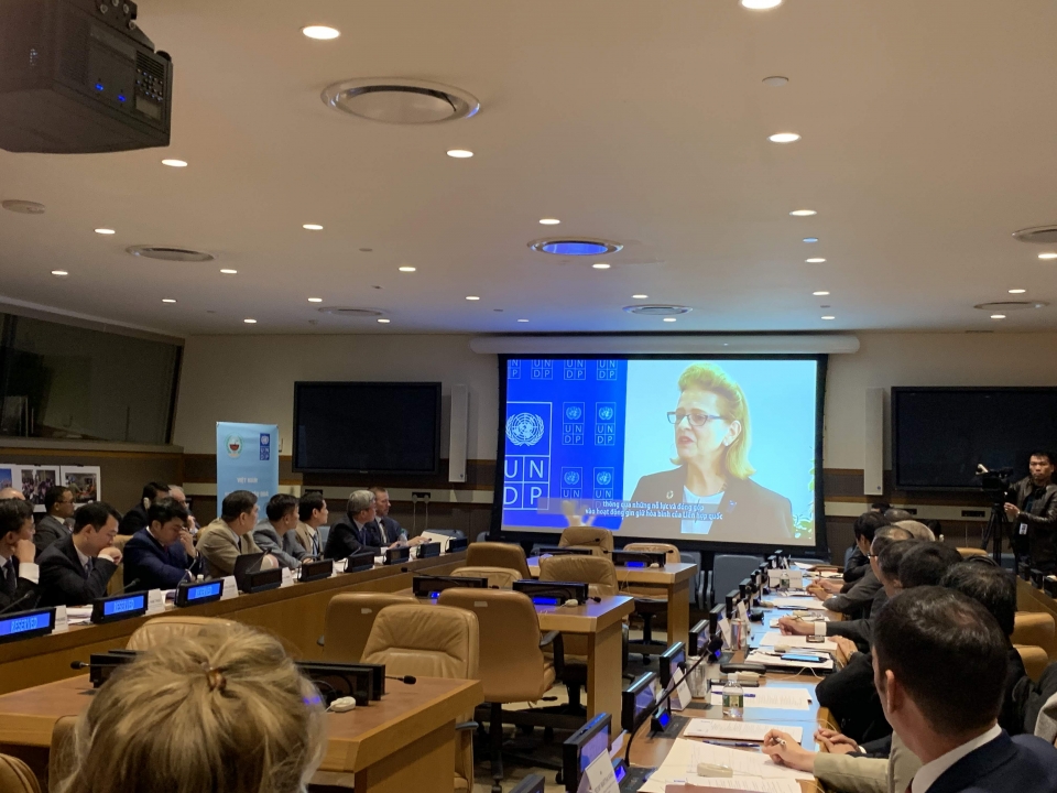 viet nam no luc vi hoa binh va phat trien ben vung