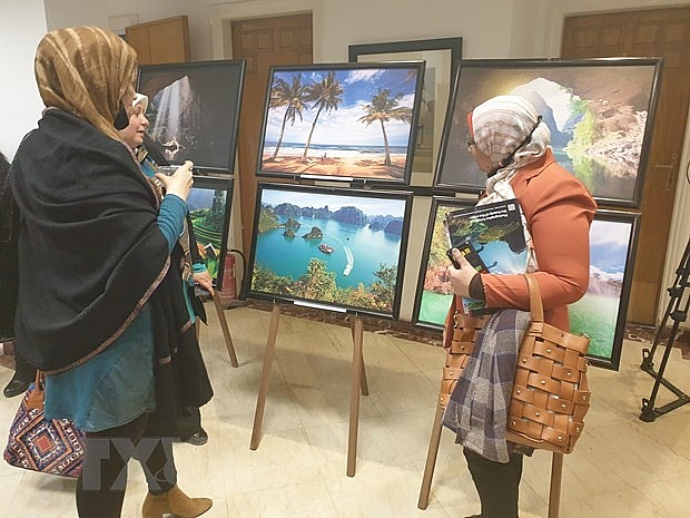 Bạn bè Ai Cập đều bày tỏ những ấn tượng, tình cảm tốt đẹp khi được xem những bức ảnh đặc sắc, mang đậm tính nghệ thuật về phong cảnh, đất nước, con người ở khắp các vùng miền của Việt Nam. (Ảnh: Anh Tuấn/TTXVN)