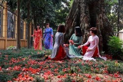 Hà Nội mở tour du lịch 'Bác Cổ - Mùa hoa gạo'