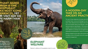 Phát triển hình thức du lịch voi bền vững ở Việt Nam