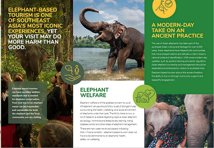 Phát triển hình thức du lịch voi bền vững ở Việt Nam
