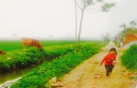 trien lam anh va phong su tai lieu trong cong dong asean tai viet nam