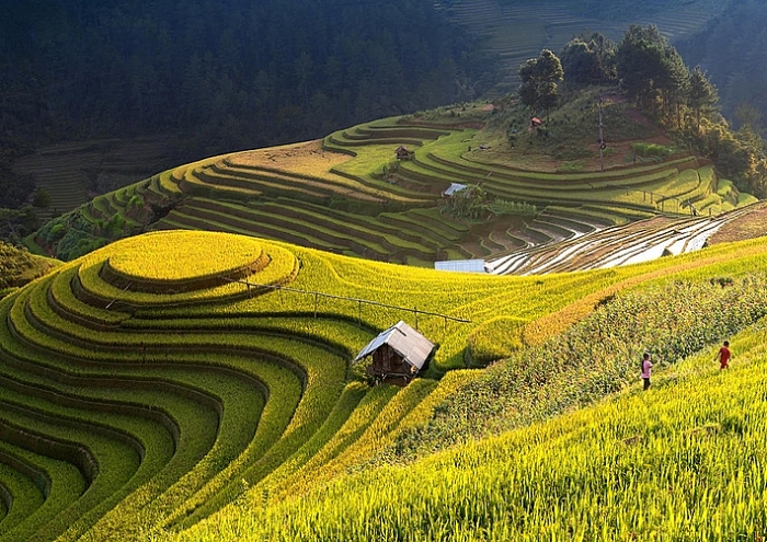 check in viet nam qua nhung trai nghiem vo gia