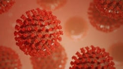 Covid-19: Ấn Độ phát hiện biến thể virus nguy hiểm với 3 đột biến có khả năng lẩn tránh hệ miễn dịch