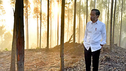 Thủ đô mới của Indonesia sẽ chôn vùi phong tục truyền thống địa phương?