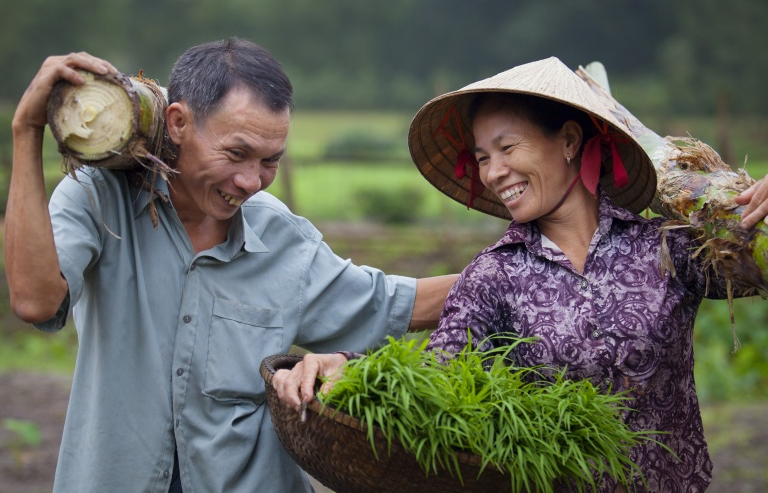 Những câu chuyện về gia đình bình đẳng ở Việt Nam