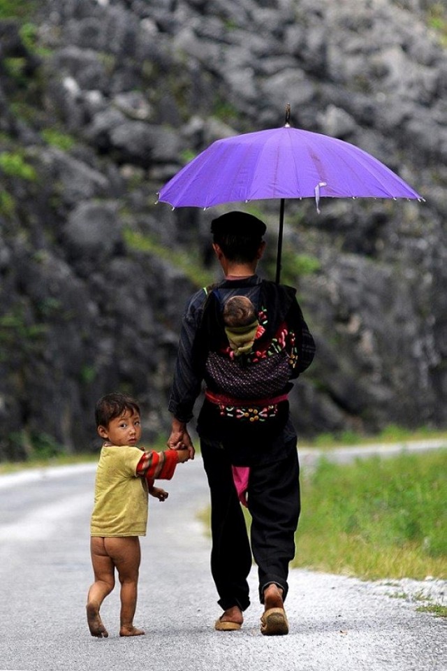 nhung khoanh khac tuyet voi cua ong bo vie t nam